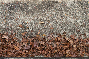 Cement, gravel and dry leaves for the background.