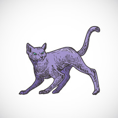 Hand Drawn Colorful Halloween Scary Crawling Cat Vector Illustration. Abstract Animal Sketch. Holiday Doodle Style Drawing.