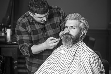 Cheerful caucasian man happy to be on the haircut with a professional hairdresser.