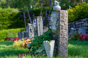 Row of grave stones with beautiful and colorful flowers