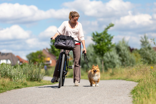 Woman drives a bicycle with a dog for a walk
