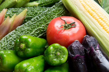 夏野菜の盛り合わせ