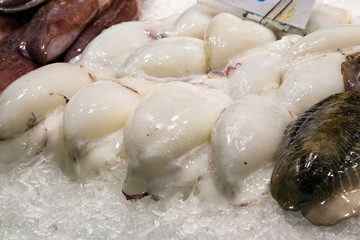 Sale of the white sepia, calamari and other seafoods on the market.