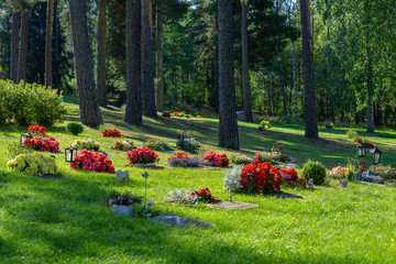 Rows of graves with beautiful and colorful flowers in sunlight