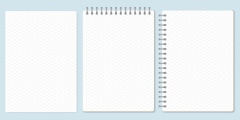 Isometric graph paper set, template of spiral notebook and notepad sheets. Vector Illustration.