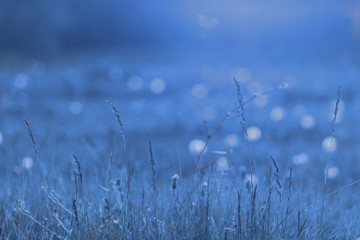 Fantasy image of blue field