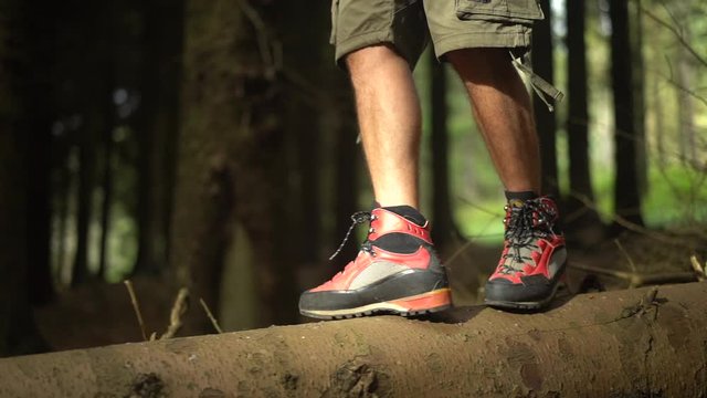 redback hiking boots