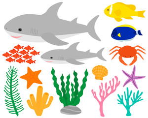 Fototapeta premium Set cute shark and sea elements fish crab algae corals seashell starfish vector illustration