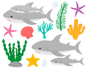 Set cute shark and sea elements  algae corals seashell starfish vector illustration