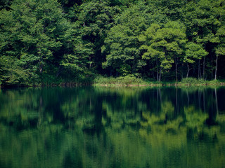 Fototapeta na wymiar 緑の木々が湖面に写り込んでいる夏の中綱湖 長野県大町市