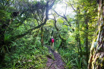 Fototapeta premium Tramping