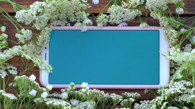 Top view flatlay 4k video footage of smartphone blue screen mock up and flowers. Floral pattern around phone.  Spring or summer background with mobile cellphone with copy space.