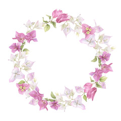 Fototapeta na wymiar A pink bougainvillaea floral wreath hand painted in watercolor isolated on a white background. Watercolor floral frame. Watercolor bougainvillea frame.