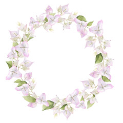 Fototapeta na wymiar A light pink bougainvillaea floral wreath hand painted in watercolor isolated on a white background. Watercolor floral frame. Watercolor bougainvillea frame.