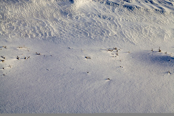 snow covered agricultural field