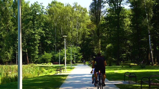 rodzina na rowerach jadąca alejką w parku w słoneczny letni dzień
