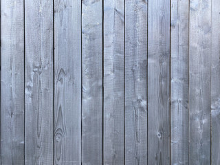Fototapeta premium Gray texture of old pine