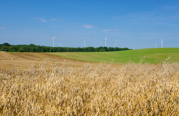 A rural landscape somewhere in West Pomerania, Poland