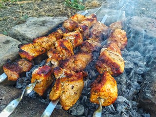 shish kebab on the grill