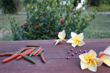 frangipani flowers on wooden background