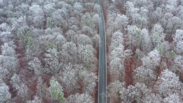 Aerial view of empty rural road through forest, Steigerwald, Germany