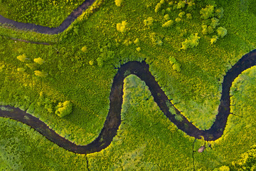 Aerial view to green land and river in summertime