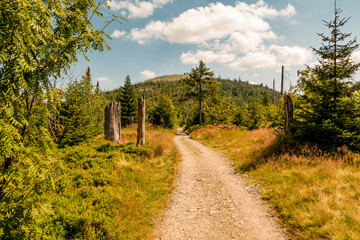 Obraz premium Hiking trail with trees and blue sky with summit cross at Blockmeer