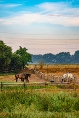 Obraz premium Niederrhein