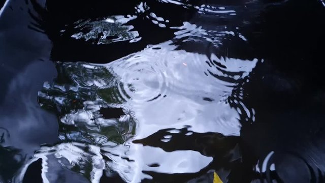raindrop in a water tank when raining season coming.