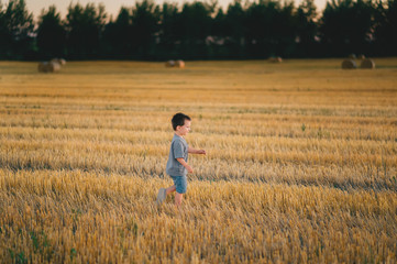 Naklejka na ściany i meble Boy walking down a wheat field on sunset.