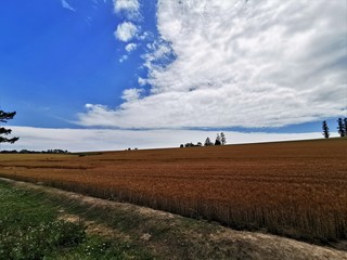 tractor in field