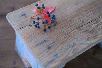 red leaves of girlish grapes with black berries lie on a vintage wooden table, blurred background, concept of harmony of nature, inspiration, autumn mood, lifestyle