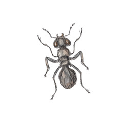 Insects   watercolor icons isolated on white background