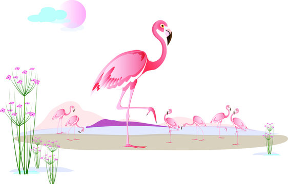 Bird pink flamingo on the seashore or lake and a flock of flamingos in the back against the background of mountains with flowering plants around. Vector picture for design.