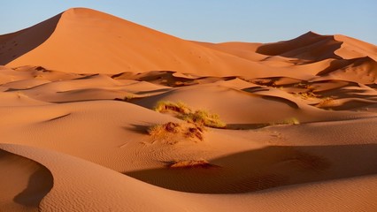 Fototapeta na wymiar Sanddünen im Morgenlicht in der Sahara in Marokko