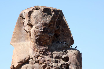 Statue of the Pharaoh Amenhotep III in Colossi of Memnon under the sunlight in Egypt
