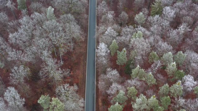 Aerial view of empty rural road through forest, Steigerwald, Germany