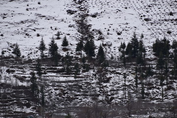 snow cover mountains in manali hp.