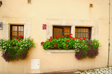 Fototapeta na wymiar View of red flowers on the windowsill of a building with a yellow wall