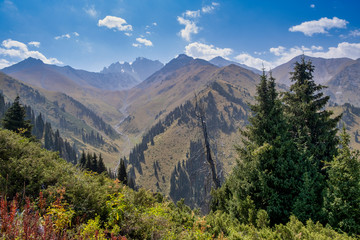 mountain landscape in the summer