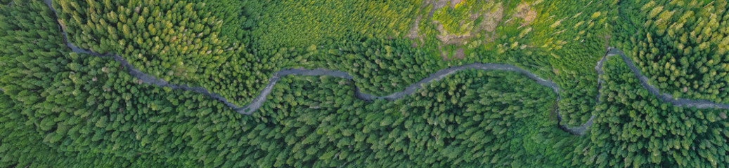 Beautiful River Running through the Gifford Pinchot National Forest Cascade Mountains near Mt. St. Helens 