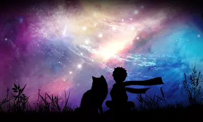 Gardinen Die Zeichentrickfiguren Fox und Little Prince in der Silhouettenkunst-Fotomanipulation der realen Welt © Nig3la