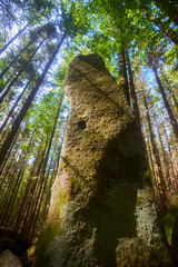 Ancient menhir hidden in the woods of Javornik mounth, Czech Republic
