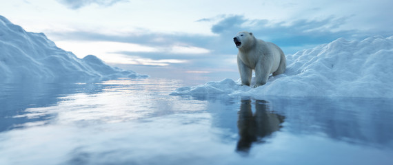 Polar bear on iceberg. Melting ice and global warming. - obrazy, fototapety, plakaty