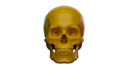 Obraz premium Yellow Skull
