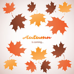 Autumn is Coming - Colorful Cover, Banner, Placard, Poster or Flyer Design with Fallen Autumn Leaves - EPS10 Vector Background Template