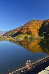 裏磐梯の秋元湖に浮かぶ数々の小島と山々の紅葉、堤防のススキ