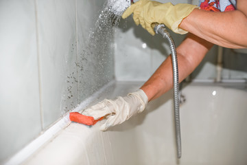 The woman is cleaning the bath. A gloved hand holds a washing sponge. House cleaning. A real dirty bath. 
