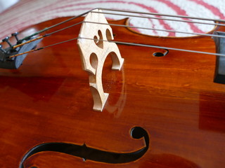 Cello
