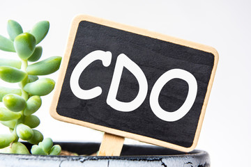small black chalk board in a pot with succulents inscribed in white letters word CDO Collateralized...